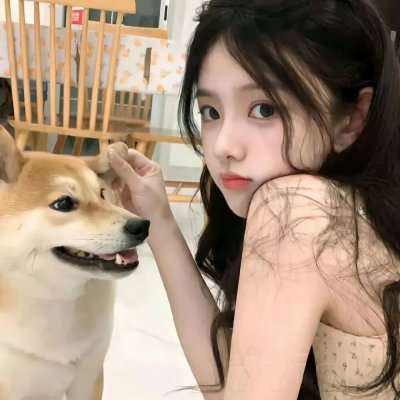 宝贝赳赳第五季